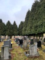 Kacení dřevin na hřbitově
